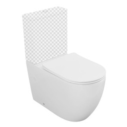 Aquanet Cetus 3.0 C1 T чаша с сиденьем