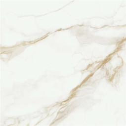 Керамогранит STN Ceramica Camile P.E. Pul. Gold Rect. 120x120