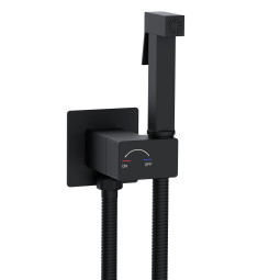 Гигиенический душ WeltWasser Higi Q01 BL 10000013666