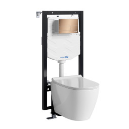 Унитаз с инсталляцией WasserKRAFT Vils 56TLT.010.ME.RG04.H002