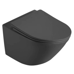 Подвесной унитаз DQ Rhein.Bach DT1476506