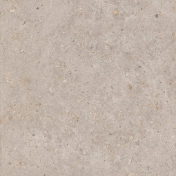 Керамогранит Керама Марацци Риккарди Бежевый Матовый SG653820R 60x60