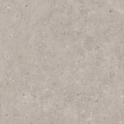 Керамогранит Керама Марацци Риккарди Серый Светлый Матовый SG653720R 60x60