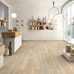 Desert Wood